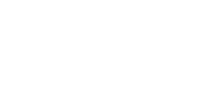 SGN_logo